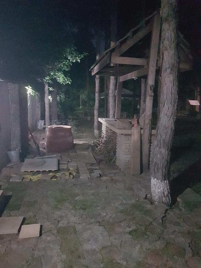 Вілла Rare House With Garden Тбілісі Екстер'єр фото